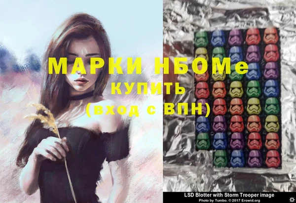 стаф Заволжск