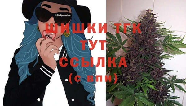 стаф Заволжск