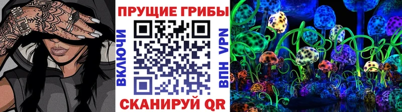 мега как войти  Нефтекамск  Псилоцибиновые грибы мицелий 